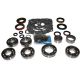 USA Standard Transfer Case NP205 Bearing Kit 1988+ Dodge