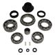 USA Standard Transfer Case BW4446 & BW4447 Rear Slip Yoke Bearing Kit