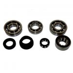 USA Standard Manual Transmission NV1500 Bearing Kit 1996+ GM S10 5-SPD